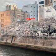 ヒメ日記 2025/04/04 23:53 投稿 あきな 品川ミセスアロマ（ユメオト）