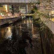 ヒメ日記 2025/04/10 19:52 投稿 あきな 品川ミセスアロマ（ユメオト）