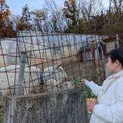 ヒメ日記 2025/02/25 06:18 投稿 みかさ バイオレンス