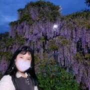 ヒメ日記 2025/05/08 06:25 投稿 みかさ バイオレンス