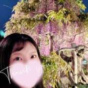 ヒメ日記 2025/05/08 11:45 投稿 みかさ バイオレンス