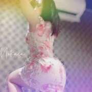 ヒメ日記 2025/07/01 06:25 投稿 みかさ バイオレンス