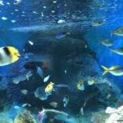 ヒメ日記 2025/08/07 06:35 投稿 みかさ バイオレンス