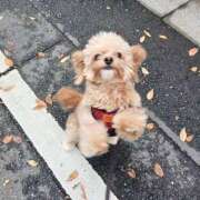 ヒメ日記 2024/12/19 07:52 投稿 志乃 ニューヨークニューヨーク