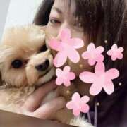 ヒメ日記 2025/01/07 08:13 投稿 志乃 ニューヨークニューヨーク