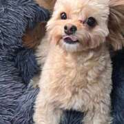 ヒメ日記 2025/01/07 15:31 投稿 志乃 ニューヨークニューヨーク