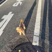 ヒメ日記 2025/01/08 07:58 投稿 志乃 ニューヨークニューヨーク