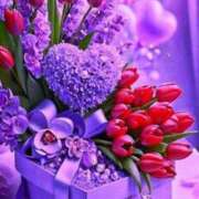 ヒメ日記 2025/02/11 15:37 投稿 志乃 ニューヨークニューヨーク