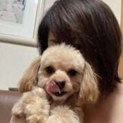 ヒメ日記 2025/02/17 21:26 投稿 志乃 ニューヨークニューヨーク