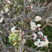 ヒメ日記 2025/02/27 10:16 投稿 志乃 ニューヨークニューヨーク