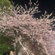 ヒメ日記 2025/03/21 21:25 投稿 志乃 ニューヨークニューヨーク