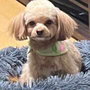 ヒメ日記 2025/03/23 00:11 投稿 志乃 ニューヨークニューヨーク