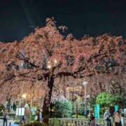 ヒメ日記 2025/03/27 09:49 投稿 志乃 ニューヨークニューヨーク