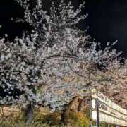 ヒメ日記 2025/04/04 21:27 投稿 志乃 ニューヨークニューヨーク