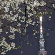 ヒメ日記 2025/04/05 21:46 投稿 志乃 ニューヨークニューヨーク