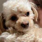 ヒメ日記 2025/04/09 08:44 投稿 志乃 ニューヨークニューヨーク