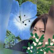 ヒメ日記 2025/04/29 09:33 投稿 志乃 ニューヨークニューヨーク