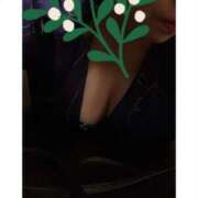 ヒメ日記 2025/04/30 10:36 投稿 志乃 ニューヨークニューヨーク