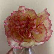 ヒメ日記 2025/05/11 22:02 投稿 志乃 ニューヨークニューヨーク