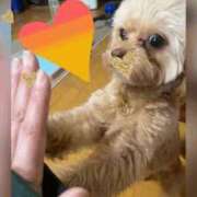 ヒメ日記 2025/06/26 07:16 投稿 志乃 ニューヨークニューヨーク