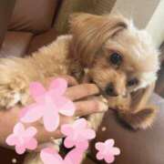 ヒメ日記 2025/09/12 02:09 投稿 志乃 ニューヨークニューヨーク