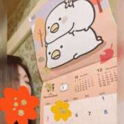 ヒメ日記 2025/11/04 11:05 投稿 志乃 ニューヨークニューヨーク