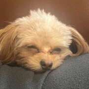 ヒメ日記 2025/12/13 22:30 投稿 志乃 ニューヨークニューヨーク