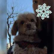 ヒメ日記 2026/02/09 08:12 投稿 志乃 ニューヨークニューヨーク