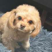 ヒメ日記 2026/03/11 08:54 投稿 志乃 ニューヨークニューヨーク