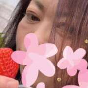 ヒメ日記 2026/04/03 07:04 投稿 志乃 ニューヨークニューヨーク