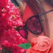 ヒメ日記 2026/04/11 23:57 投稿 志乃 ニューヨークニューヨーク