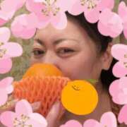 ヒメ日記 2026/04/14 16:39 投稿 志乃 ニューヨークニューヨーク