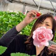 ヒメ日記 2026/04/17 22:31 投稿 志乃 ニューヨークニューヨーク