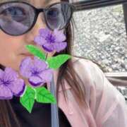 ヒメ日記 2026/07/13 12:02 投稿 志乃 ニューヨークニューヨーク
