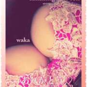 ヒメ日記 2024/12/29 01:38 投稿 わか 熟女家 堺東店