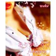 ヒメ日記 2025/01/13 22:28 投稿 わか 熟女家 堺東店