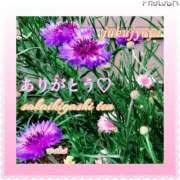 ヒメ日記 2025/04/23 23:08 投稿 わか 熟女家 堺東店