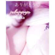 ヒメ日記 2025/07/04 18:07 投稿 わか 熟女家 堺東店