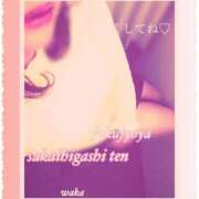 ヒメ日記 2025/11/08 14:47 投稿 わか 熟女家 堺東店