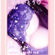 ヒメ日記 2025/11/16 10:27 投稿 わか 熟女家 堺東店