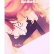 ヒメ日記 2026/01/24 16:41 投稿 わか 熟女家 堺東店