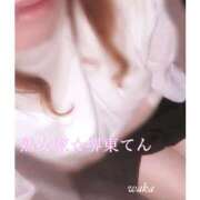 ヒメ日記 2026/04/09 16:17 投稿 わか 熟女家 堺東店