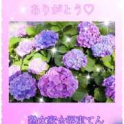 ヒメ日記 2026/06/02 02:27 投稿 わか 熟女家 堺東店