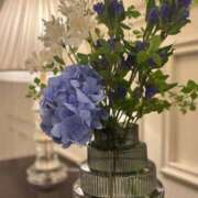 ヒメ日記 2025/06/17 21:39 投稿 浅香　えみ アロマジェンヌ