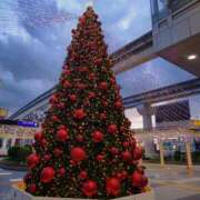 ヒメ日記 2025/11/13 19:54 投稿 彩香 人妻28