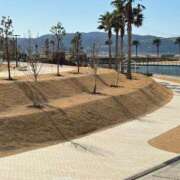 ヒメ日記 2025/03/08 10:09 投稿 まみ 完熟ばなな神戸・三宮店