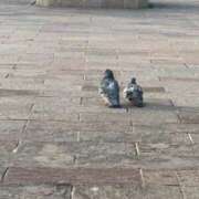 ヒメ日記 2025/03/11 18:50 投稿 まみ 完熟ばなな神戸・三宮店