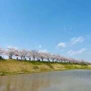 ヒメ日記 2025/04/08 09:45 投稿 まみ 完熟ばなな神戸・三宮店