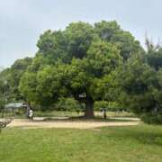 ヒメ日記 2025/05/19 16:16 投稿 まみ 完熟ばなな神戸・三宮店