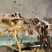 ヒメ日記 2025/07/14 15:05 投稿 まみ 完熟ばなな神戸・三宮店